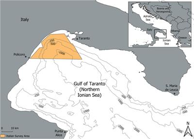 Initial results on the variation of whistle characteristics of bottlenose dolphins from two neighbouring regions of the Mediterranean Sea: Northern Ionian and Southern Adriatic Sea